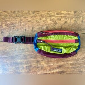 Patagonia Multicolor Mini Belt Bag